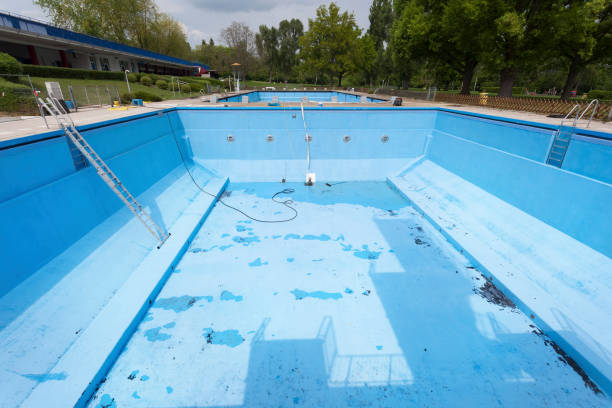 Best Water damage mitigation services  in Clarkson, KY