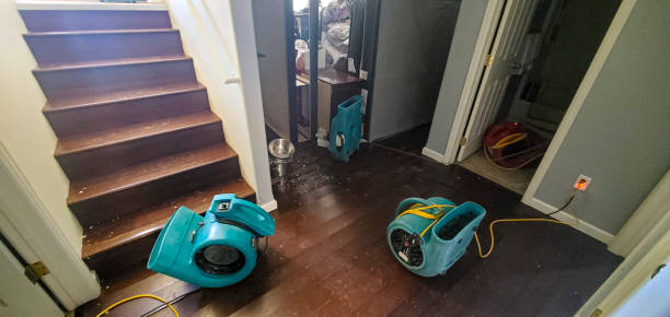 Best Water damage cleanup near me  in Clarkson, KY