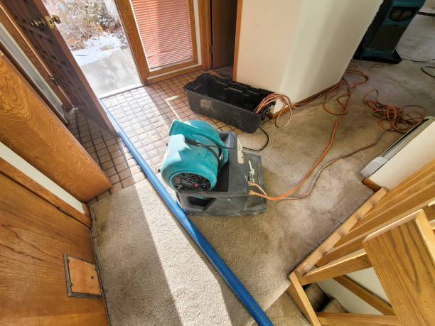  Clarkson, KY Water damage restoration Pros