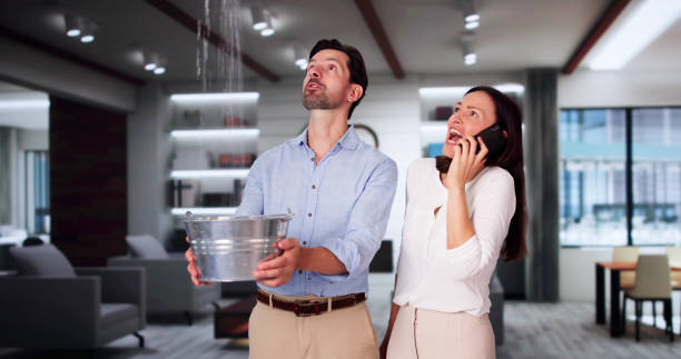 Best Basement water damage restoration  in Clarkson, KY