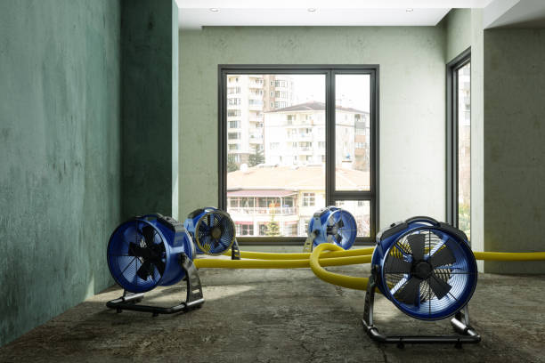 Best Local water damage restoration  in Clarkson, KY